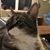 Teresa Waynick Love's profile image