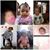 Tia Wilson-Hill's profile image
