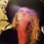 Laura Neal's profile image