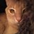 Dede Montross LeHew's profile image