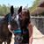 Lori Worthington's profile image