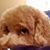 Cindy Batka's profile image