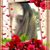 Jennifer Borrero's profile image
