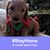 Nestor Lopez's profile image