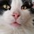 Susie Harman's profile image