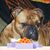Pat Jones's profile image