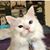 Debbie Crumbley Adams's profile image