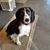 Karen Carlew's profile image