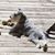 Scott Pasell's profile image