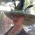 Nichol Russell's profile image