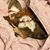 Adrian Danner's profile image