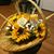 Linda Motko Stout's profile image