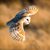 Turi Llo's profile image