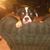 Michelle Hance-Burnett's profile image
