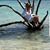 Suzanne Tomich Murray's profile image