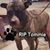 Sandra Dranchak's profile image