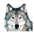 Neal Horan's profile image