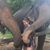 Jessica JP Lynn's profile image
