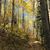 Beckie Large-Swope's profile image