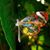 Kathy Page's profile image