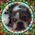 Mary Taragowski-Foy's profile image