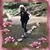 Janet Martin's profile image