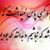 Hadi Ghaffari's profile image