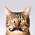 Carol Osland's profile image