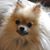 Linda Albert's profile image