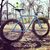 Mad-Paddlin Cyclist's profile image
