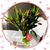 Shirley Kroneman Crippen's profile image