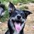 Jackie Avena's profile image