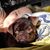 Joleen Kolk's profile image