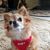 Melody Edler Payea's profile image