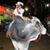 Amanda Solamar Dye's profile image
