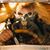 Rzr Driver's profile image