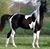 Julie Hunsicker's profile image