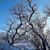 Renee Popp Buelow's profile image