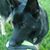 Karen Marburger's profile image