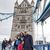 Anna C. Matchett's profile image