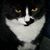 Richard Hersey's profile image