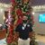 Deepak Bali's profile image