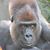 Danny E. Smith's profile image