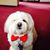 Joyce Scinto Turzak's profile image