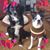 Kathy Callaghan Stowe's profile image