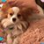 Betty J Abel's profile image