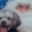 Anne Klein's profile image