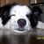 Stephen Robinson's profile image