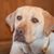 Dawn Erie-Bryant's profile image