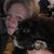 Carolyn Burleson Mills's profile image